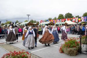 219 Svetovni festival prazenega krompirja Foto atelje Postojna